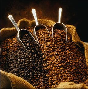 differenttypesofcocoabeans