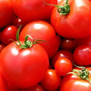 Tomatoes are an excellent functional food