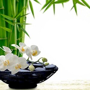 the secrets of feng shui to improve your home